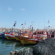 Fishing fleet of Caldera